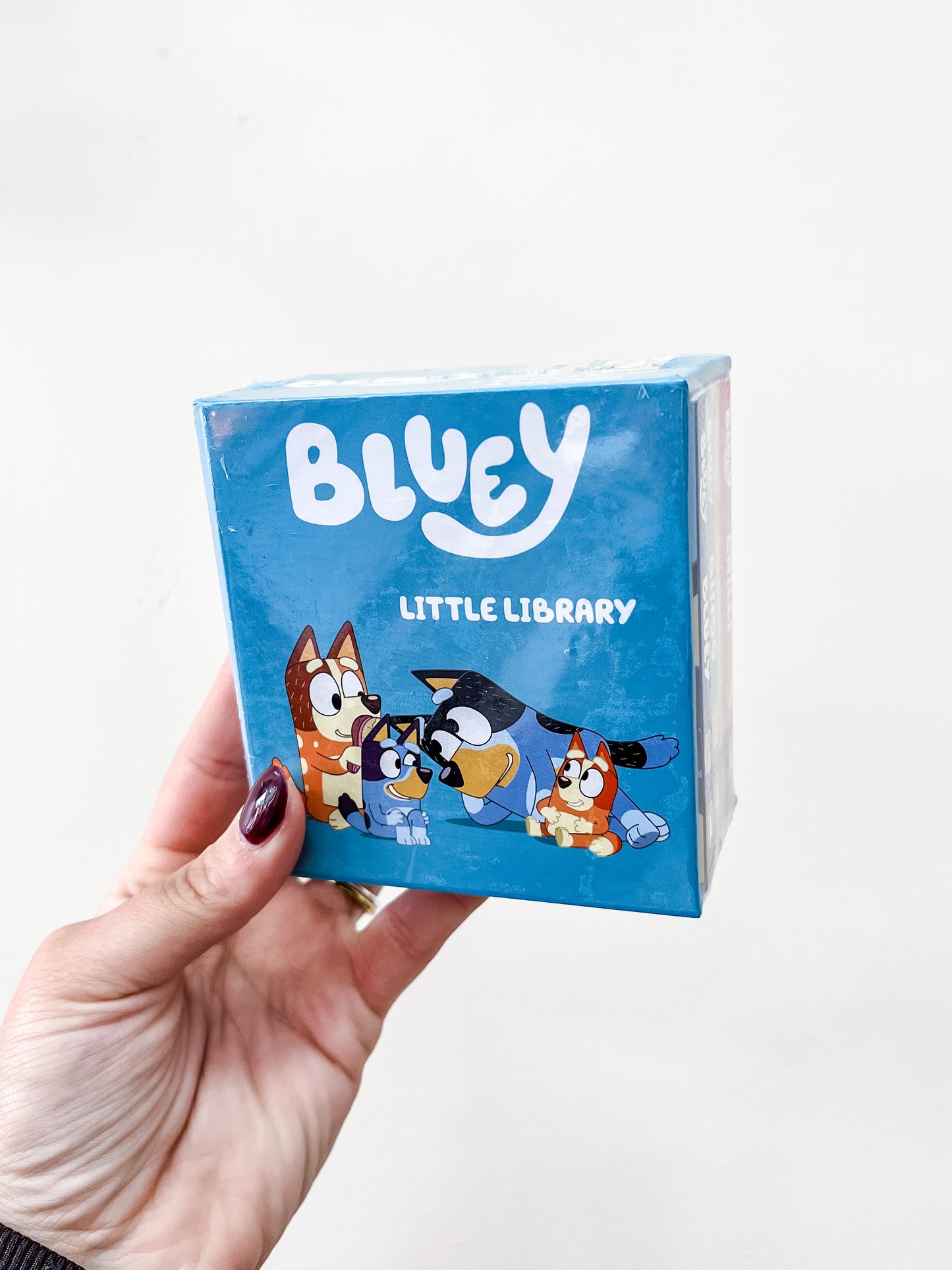 A hand holds a small blue box labeled "Bluey: Little Library Box Set" by Penguin Random House LLC, featuring Bluey cartoon characters on the front, against a plain white background.