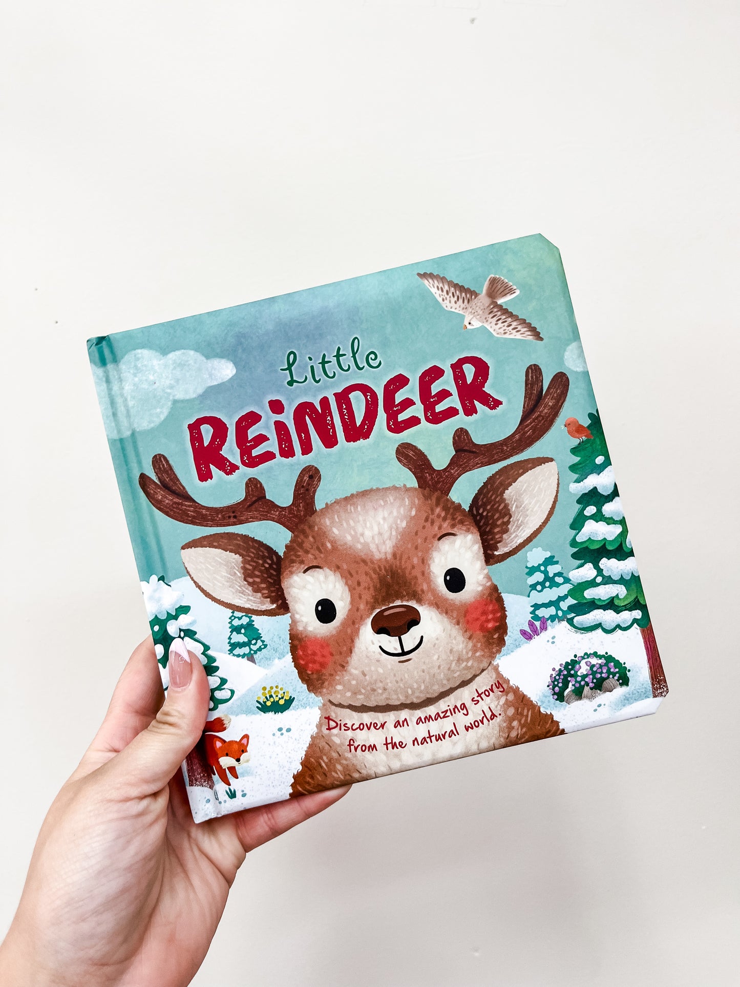 A hand holds the Little Reindeer Book by Simon & Schuster, featuring an illustrated reindeer with antlers, snowy trees, a bird in the sky, and colorful winter scenery on the cover.