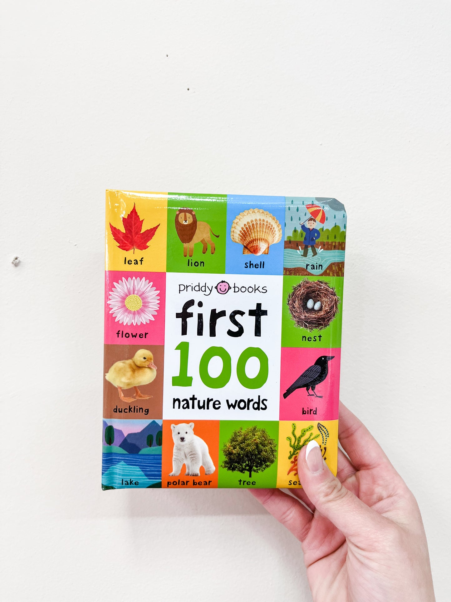 A hand holds the First Nature Words Book by Macmillan Publishers, with a colorful cover featuring images of animals, plants, and other nature-related items for children.