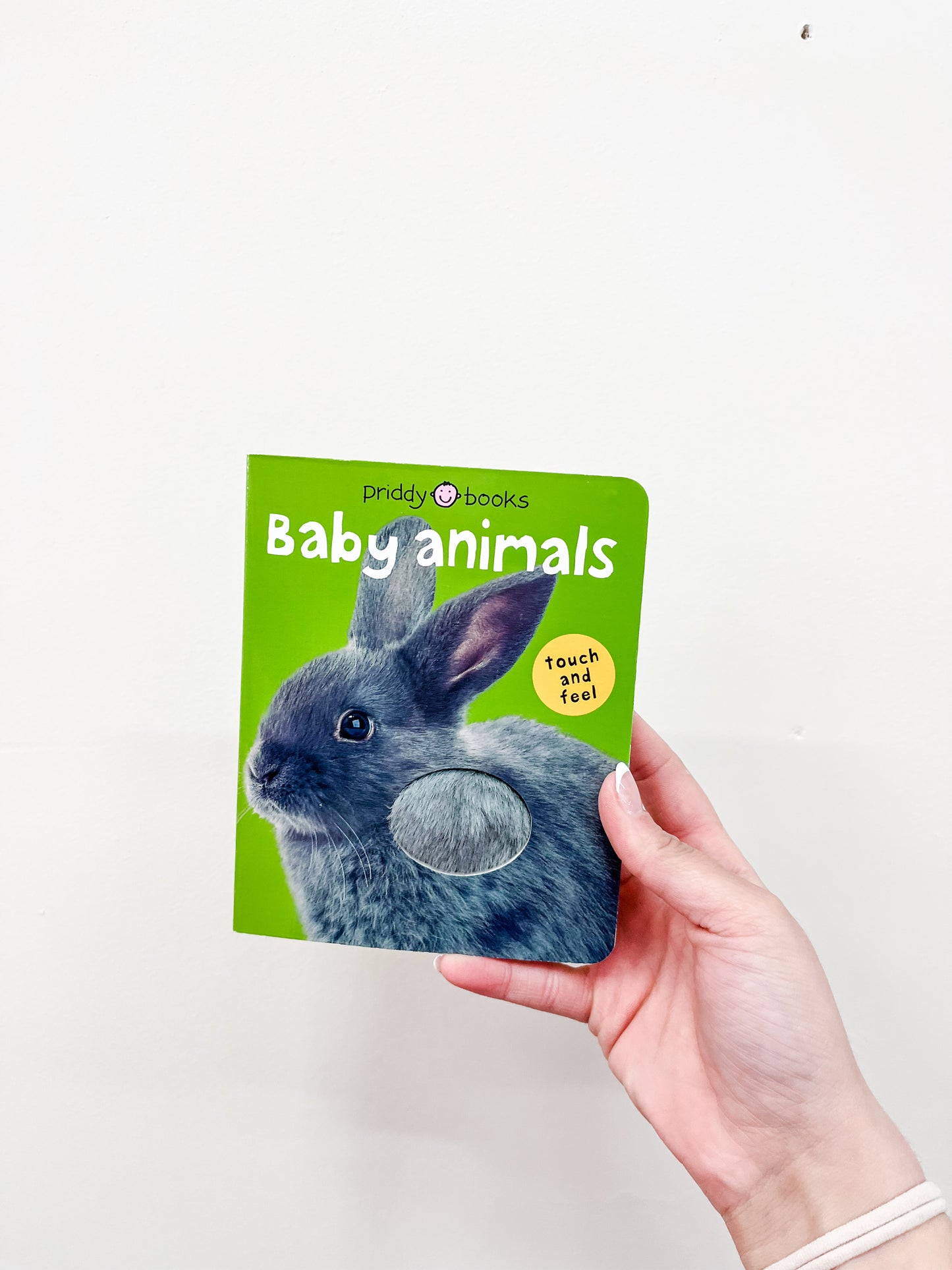 A hand holds the T & F - Baby Animals Book by Macmillan Publishers, featuring a green cover with a photo of a gray rabbit and a touch-and-feel fur patch.