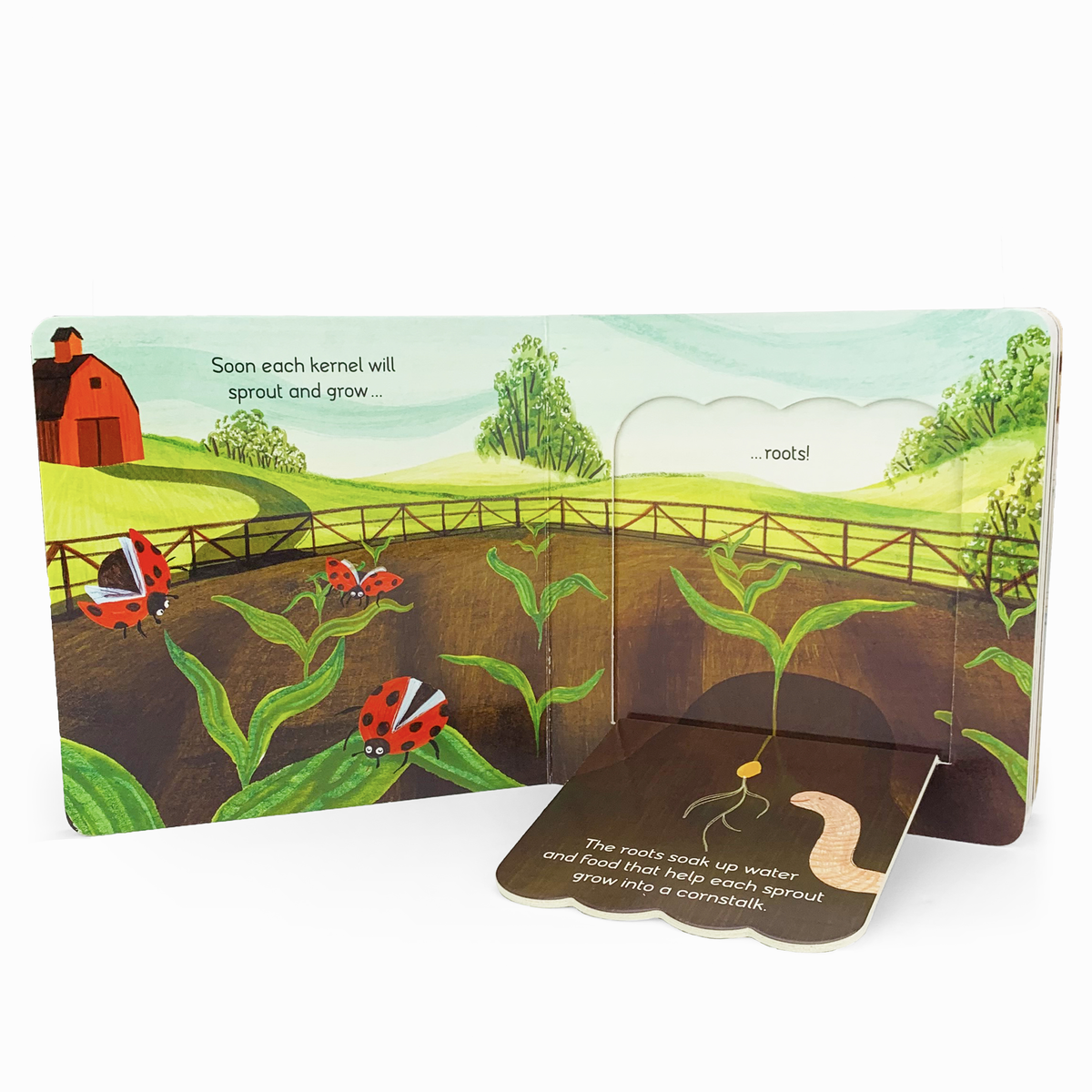 The John Deere Kids Plant & Grow Farm Lift a Flap Board Book by Cottage Door Press is an engaging children’s book that invites curious little readers to explore how corn plants sprout roots in soil. Ladybugs crawl on the leaves, a farm and barn appear in the background, and a hidden worm can be discovered under a flap—making this interactive lift-a-flap board book perfect for young farm enthusiasts.