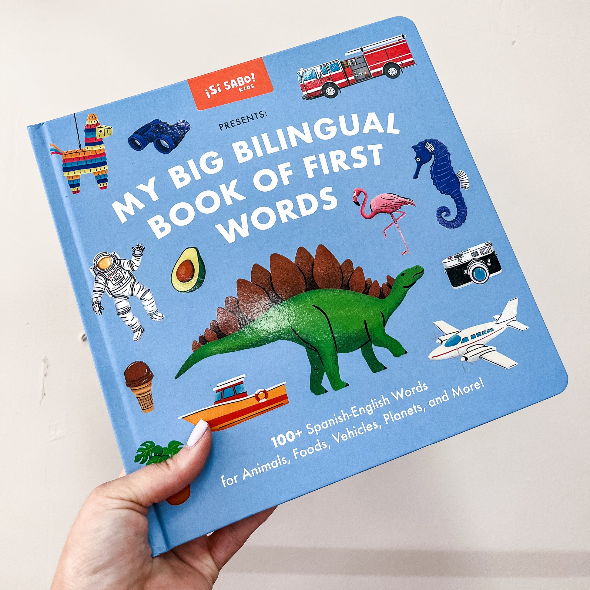A hand holds the Blue Star Press "My Big Bilingual Book Of First Words Book," featuring colorful illustrations like a dinosaur, astronaut, airplane, and camera on its light blue cover.