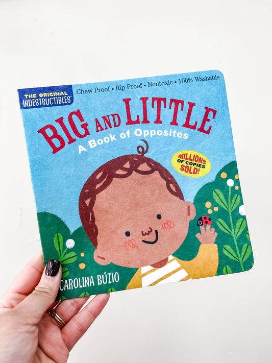 Big & Little Book