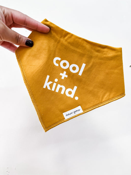 Cool + Kind Bandana Bib