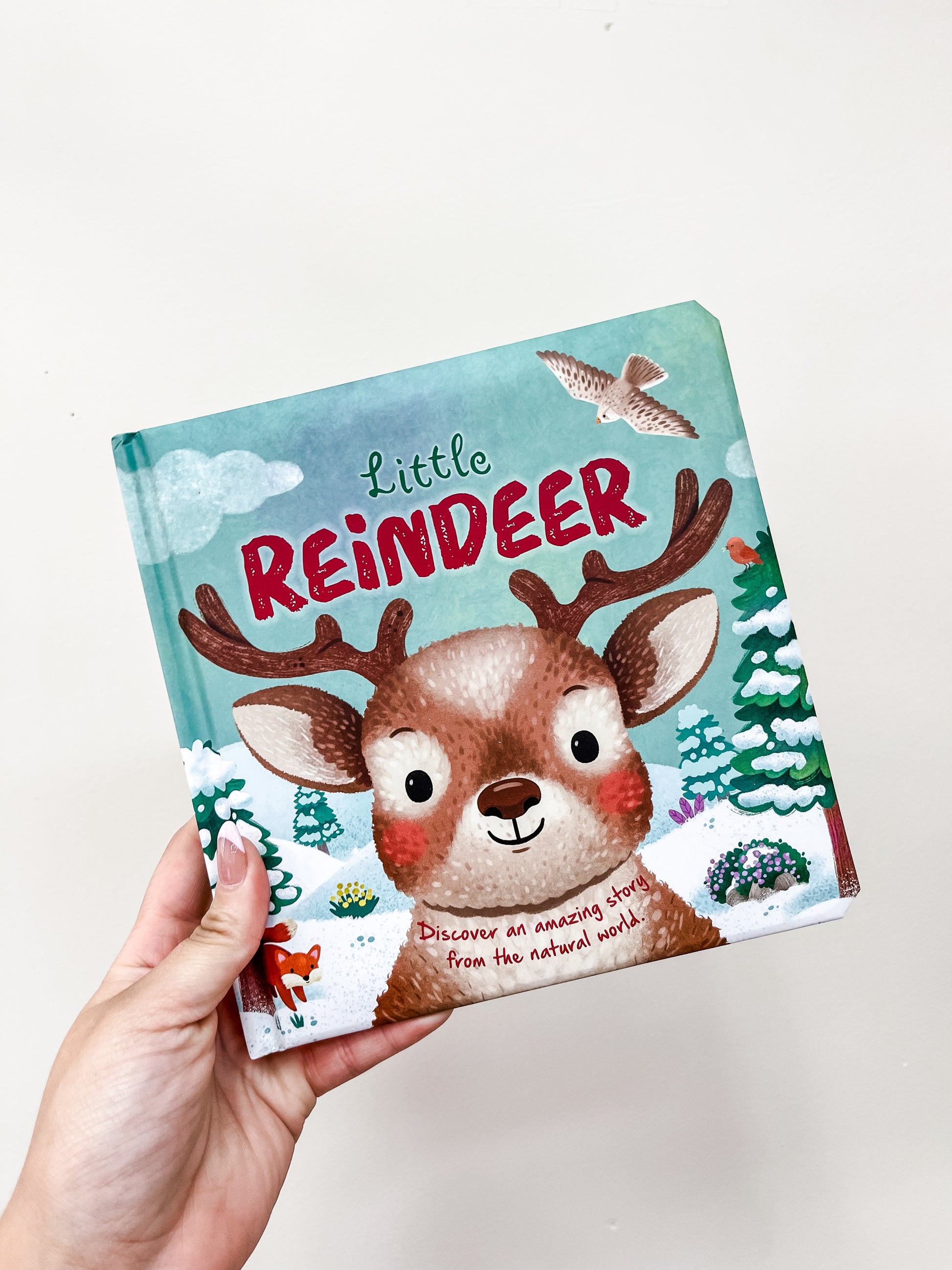 A hand holds the Little Reindeer Book by Simon & Schuster, featuring an illustrated reindeer with antlers, snowy trees, a bird in the sky, and colorful winter scenery on the cover.