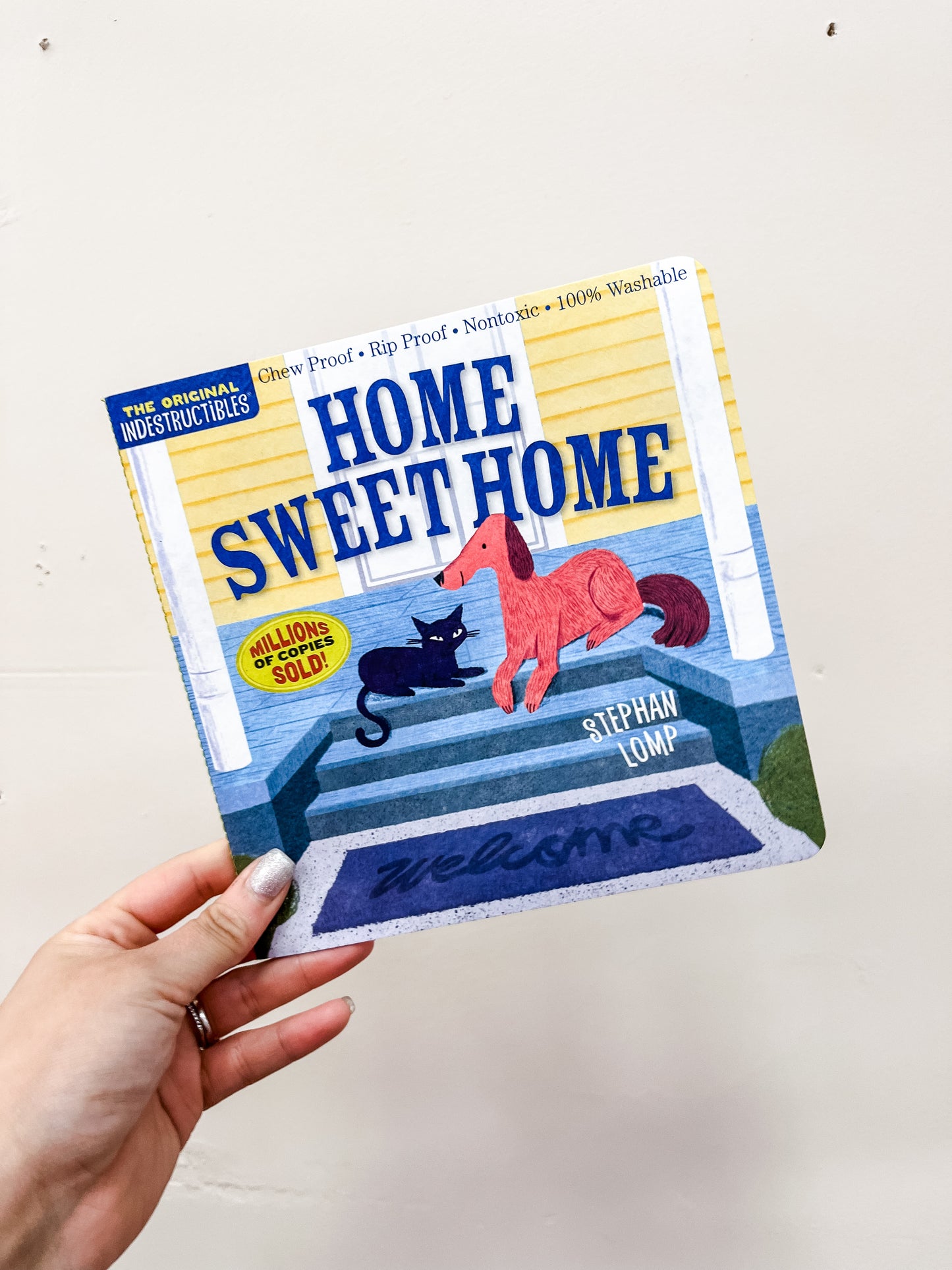 A hand holds the Home Sweet Home Book by Hachette Book Group, featuring a red dog and black cat on a porch with yellow pillars and a blue welcome mat.