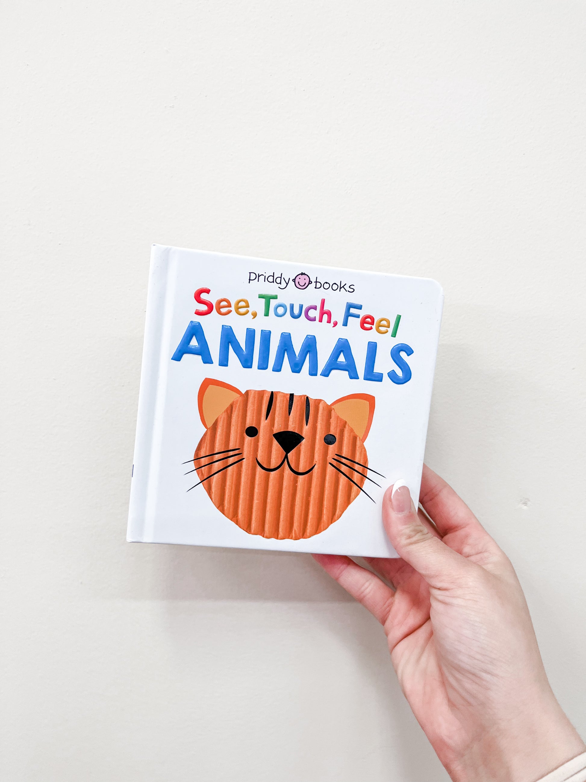 A hand holds the Tiny Tot Bundles See Touch Feel - Animals Book, featuring a textured orange cat on its white cover.