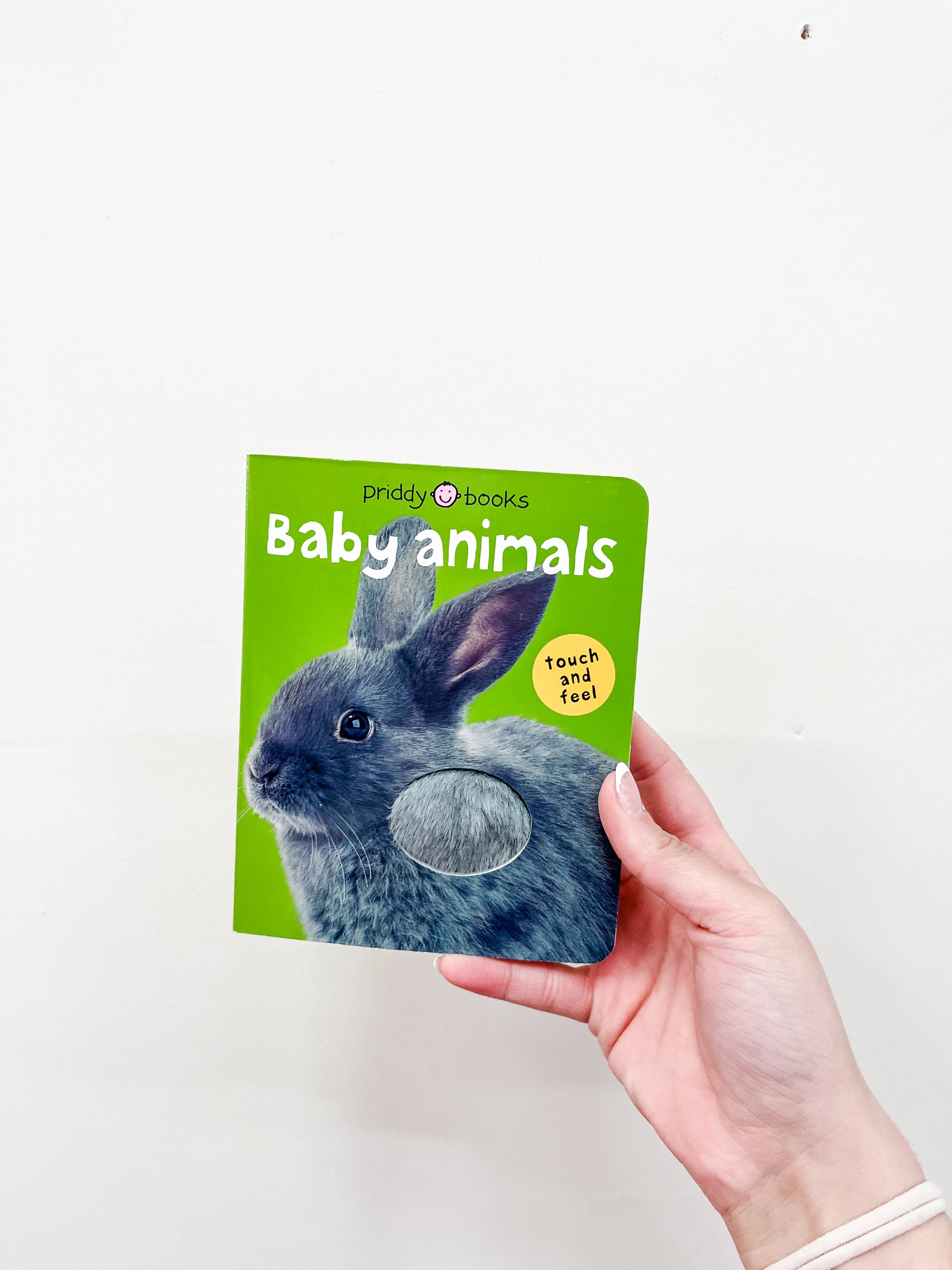 A hand holds the T & F - Baby Animals Book by Macmillan Publishers, featuring a green cover with a photo of a gray rabbit and a touch-and-feel fur patch.