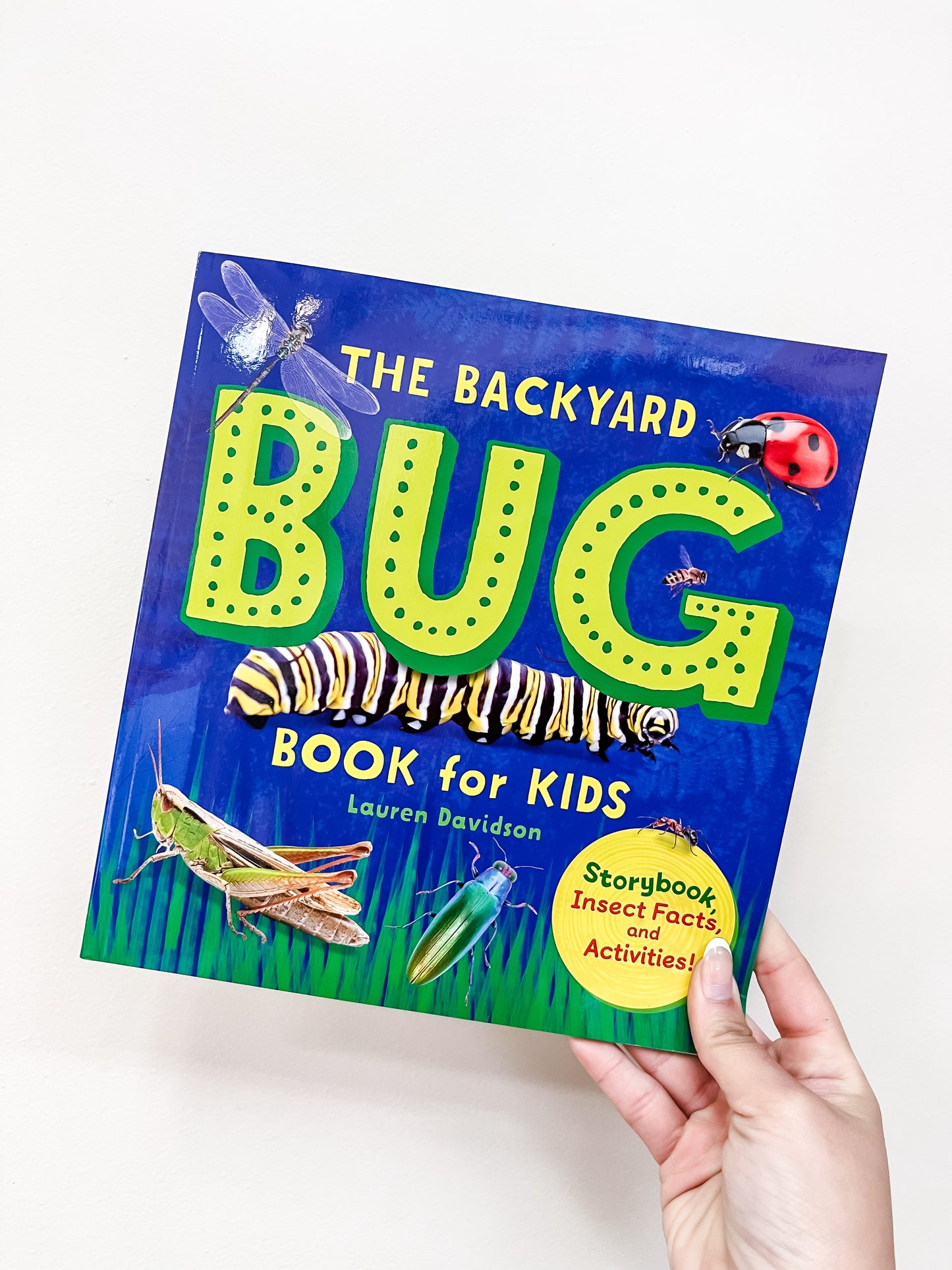 A hand holds the Backyard Bug Book by Sourcebooks, featuring a blue cover with illustrations of a dragonfly, ladybug, butterfly, caterpillar, cricket, and grasshopper.