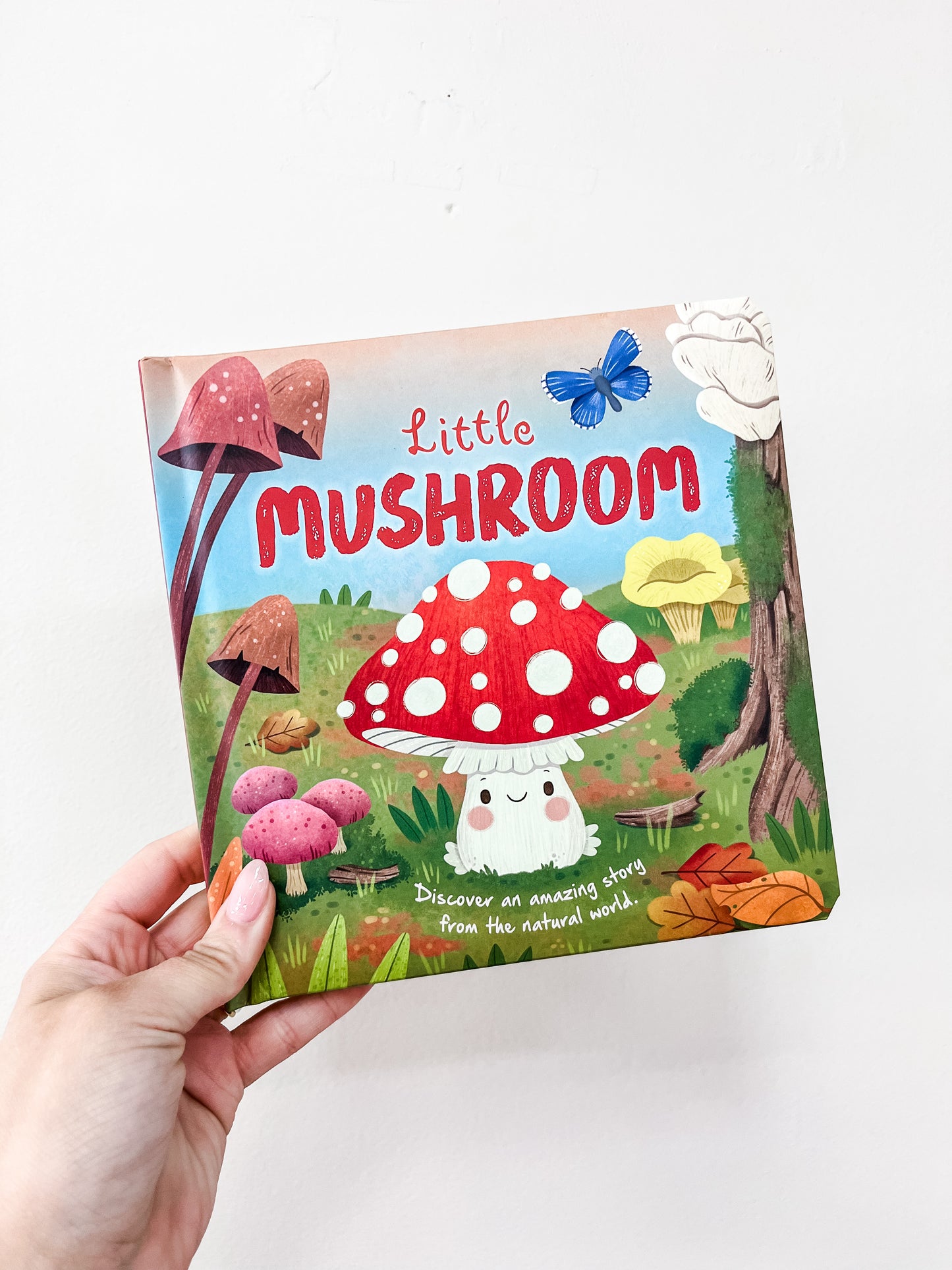 A hand holds the Little Mushroom Book by Simon & Schuster, featuring a charming mushroom with a red cap and white spots, alongside colorful mushrooms, leaves, trees, grass, and a blue butterfly on the cover.