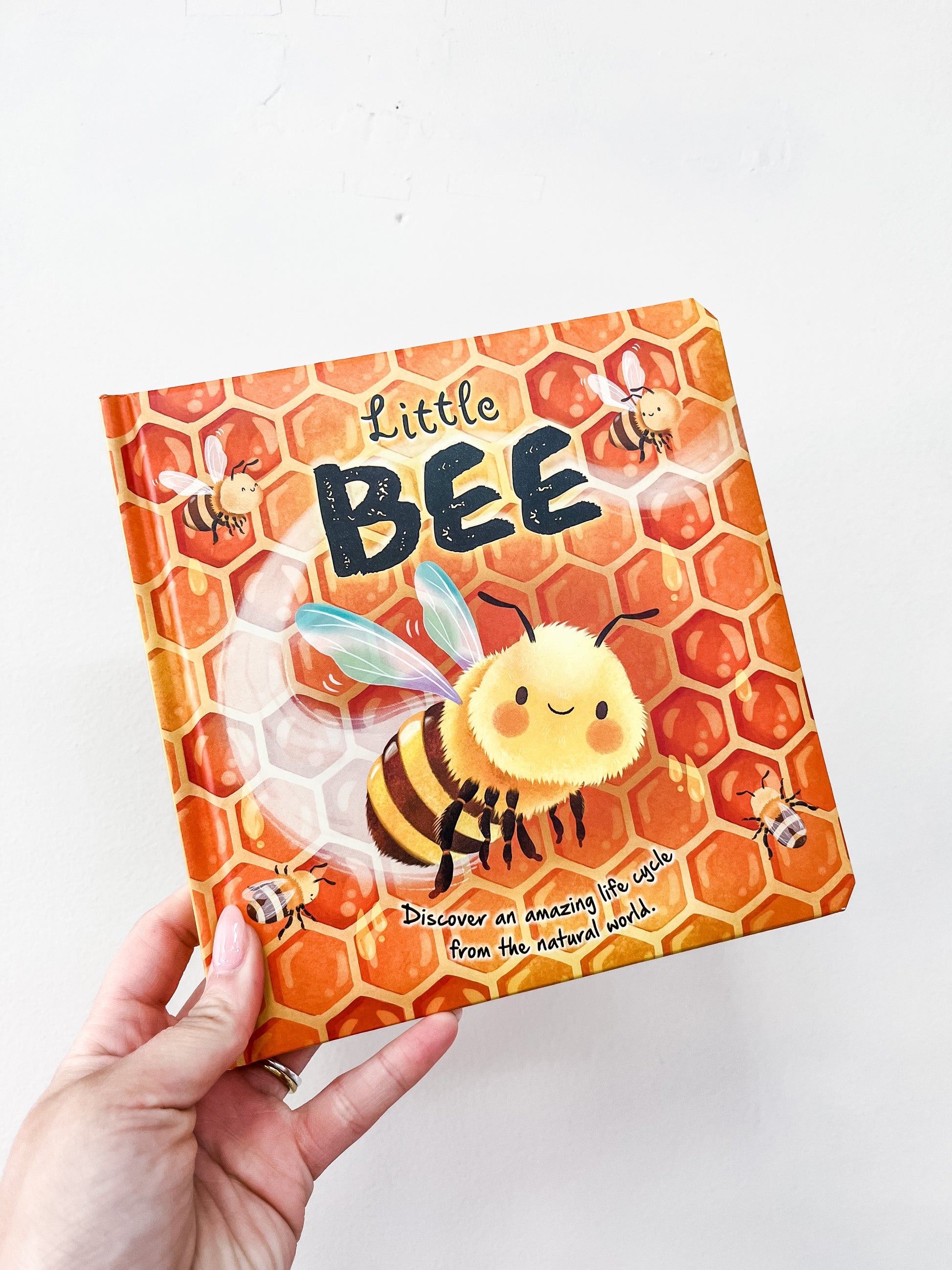 A hand holds the Little Bee Book by Simon & Schuster, with a smiling cartoon bee, honeycomb pattern, and smaller bees on the cover. The subtitle says: “Discover an amazing insect from the natural world.”.