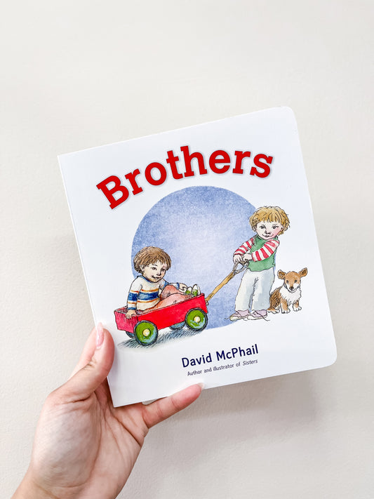 A hand holds the Brothers Book by HarperCollins, featuring a cover with two boys—one pulling a red wagon with the other riding inside—and a small dog walking beside them.