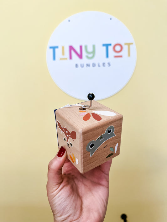 Music Box Toy