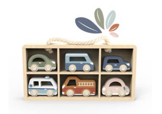 Car Display Case with 6 Vehicles