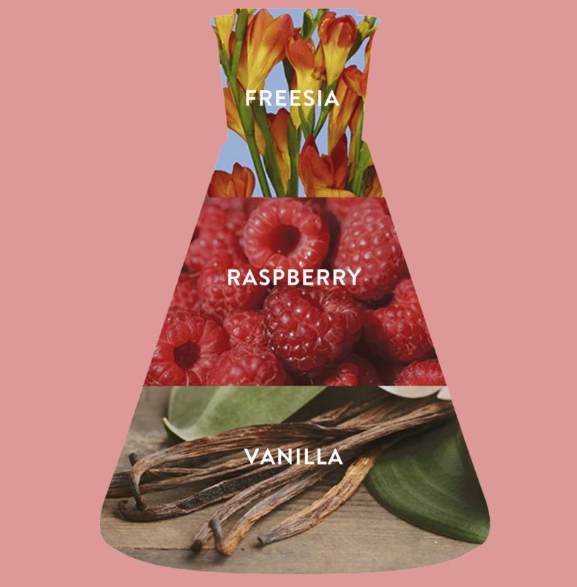 An illustration of Good Chemistry’s Sugar Berry Mini Body Mist shows a spray bottle with labeled sections: orange freesia flowers (top note), sugar berry raspberries (middle note), and vanilla pods with green leaves (base note).