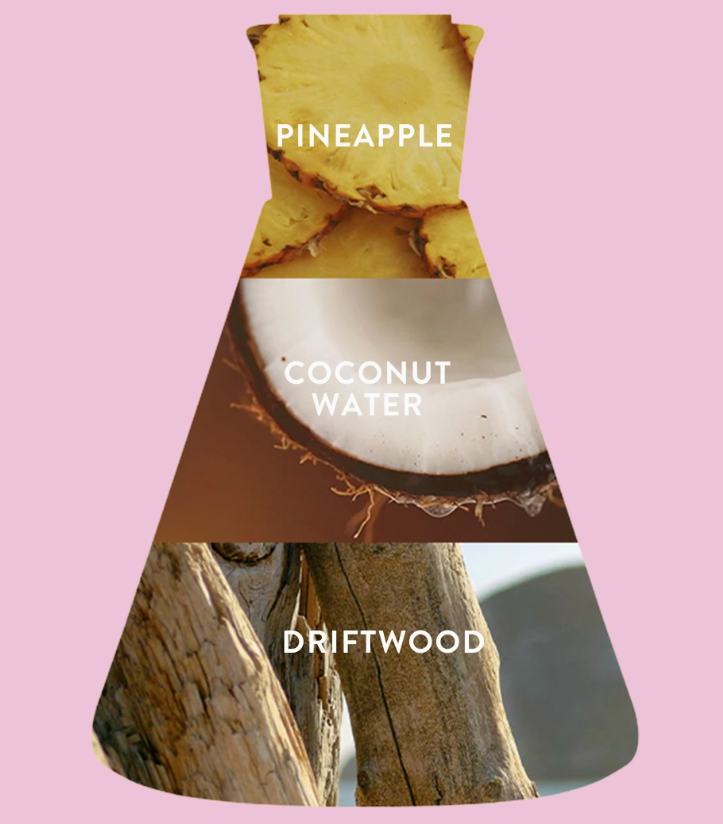 The Coco Blush Mini Body Mist by Good Chemistry features a perfume bottle with sliced pineapple on top, a halved coconut labeled "Coconut Water" in the center, and driftwood at the base—evoking a true tropical scent on a pink backdrop.