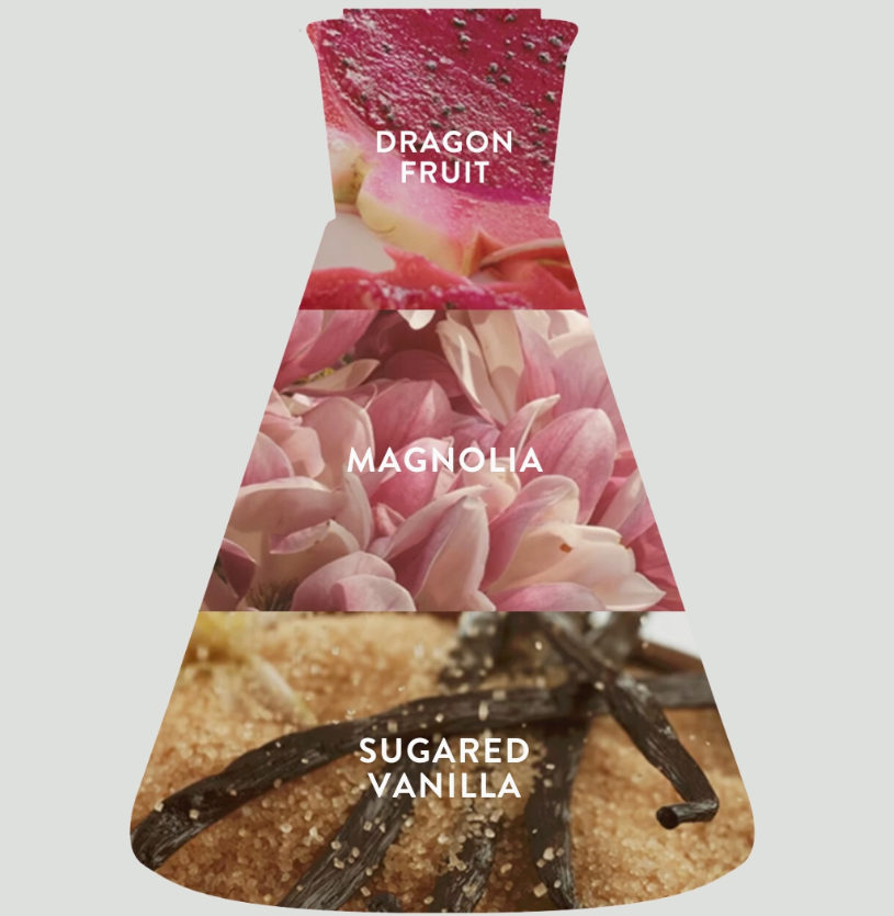 A graphic of a flask divided into three parts: dragonfruit fragrance at the top, magnolia flowers in the center, and sugared vanilla beans at the bottom—illustrating the essence of Good Chemistry’s Pink Palm Mini Body Mist.